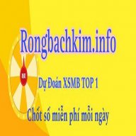 rongbachkiminfo1